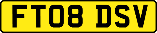 FT08DSV