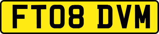 FT08DVM