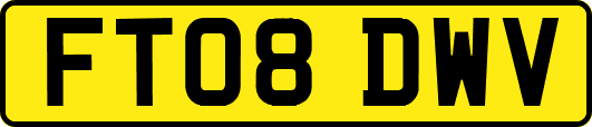 FT08DWV
