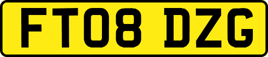 FT08DZG