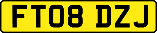 FT08DZJ