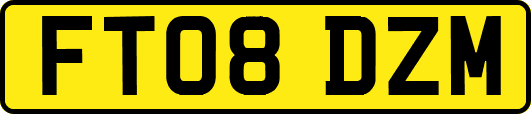 FT08DZM