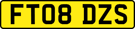 FT08DZS