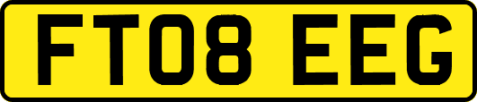 FT08EEG