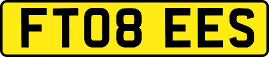 FT08EES