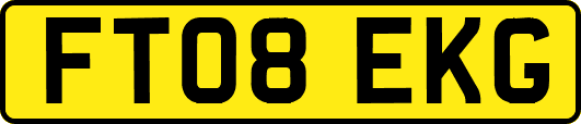 FT08EKG