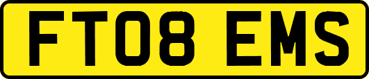 FT08EMS