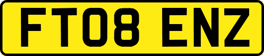 FT08ENZ