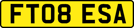 FT08ESA