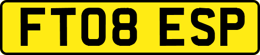 FT08ESP