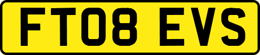 FT08EVS
