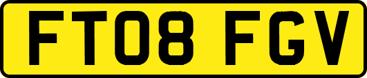 FT08FGV
