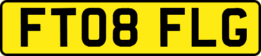 FT08FLG