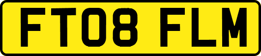 FT08FLM