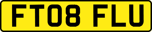 FT08FLU