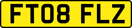 FT08FLZ