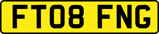 FT08FNG