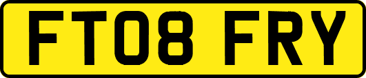 FT08FRY