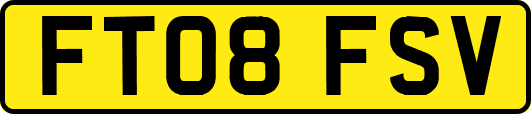 FT08FSV