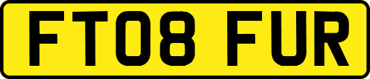 FT08FUR
