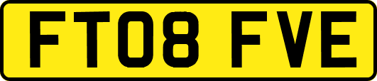 FT08FVE