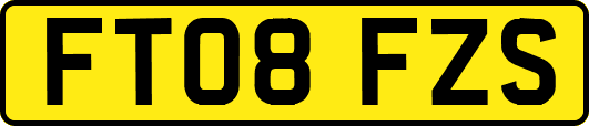 FT08FZS