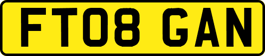 FT08GAN