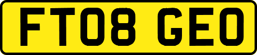 FT08GEO