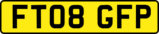 FT08GFP