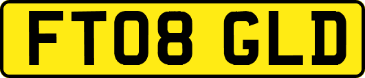 FT08GLD