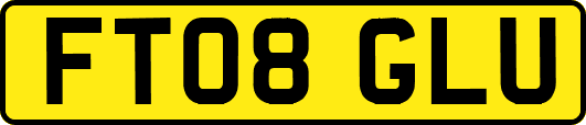 FT08GLU