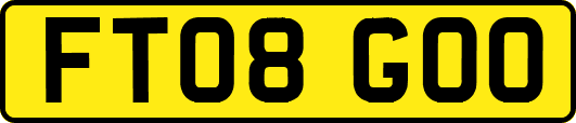 FT08GOO
