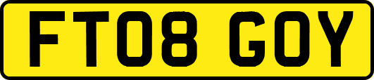 FT08GOY