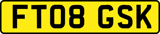 FT08GSK