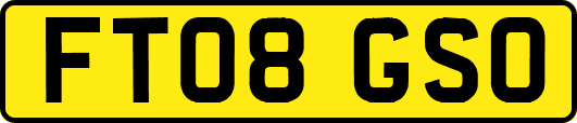 FT08GSO