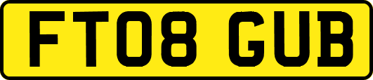 FT08GUB