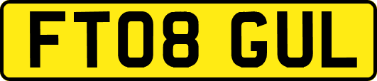 FT08GUL