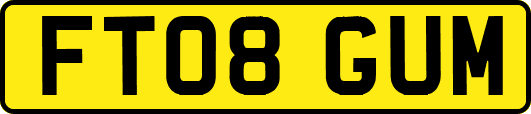 FT08GUM