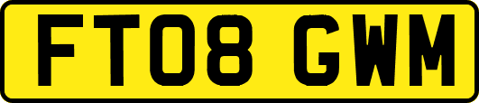 FT08GWM