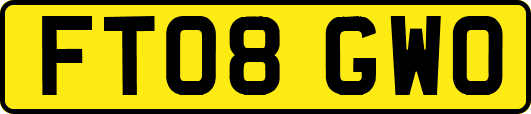 FT08GWO
