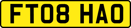 FT08HAO