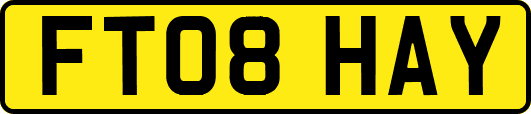 FT08HAY