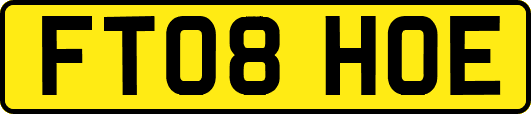 FT08HOE