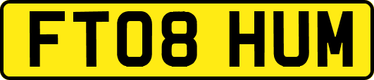FT08HUM