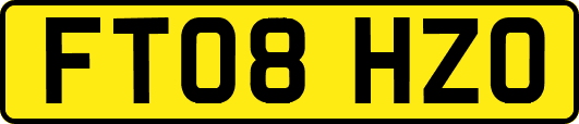 FT08HZO