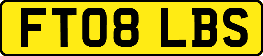 FT08LBS