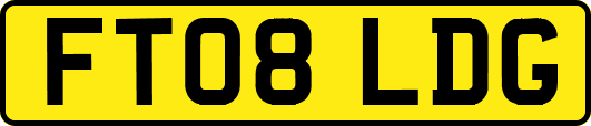 FT08LDG