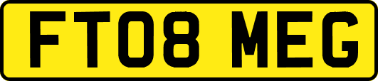FT08MEG