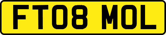 FT08MOL