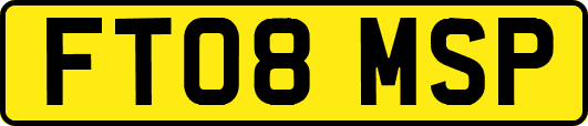 FT08MSP
